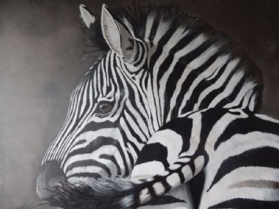 zebra